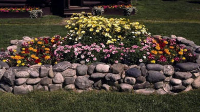 Фото - Клумбы из камней для сада популярные материалы и варианты обустройства