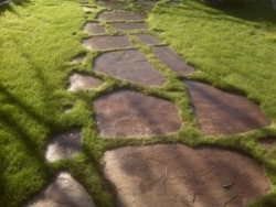 Фото - Садовые дорожки из природного камня своими руками