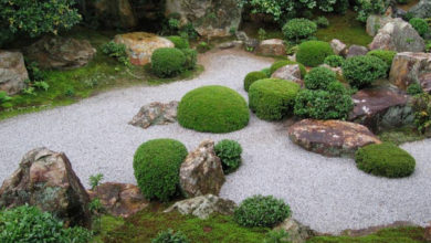 Фото - Зимний сад для воплощения мечты: японские мини-сады у вас дома – красота для себя и друзей